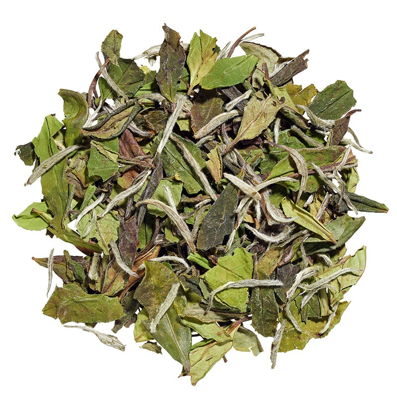Pai Mu Tan -3652-0. -Pai Mu Tan (Weisse Päonie)