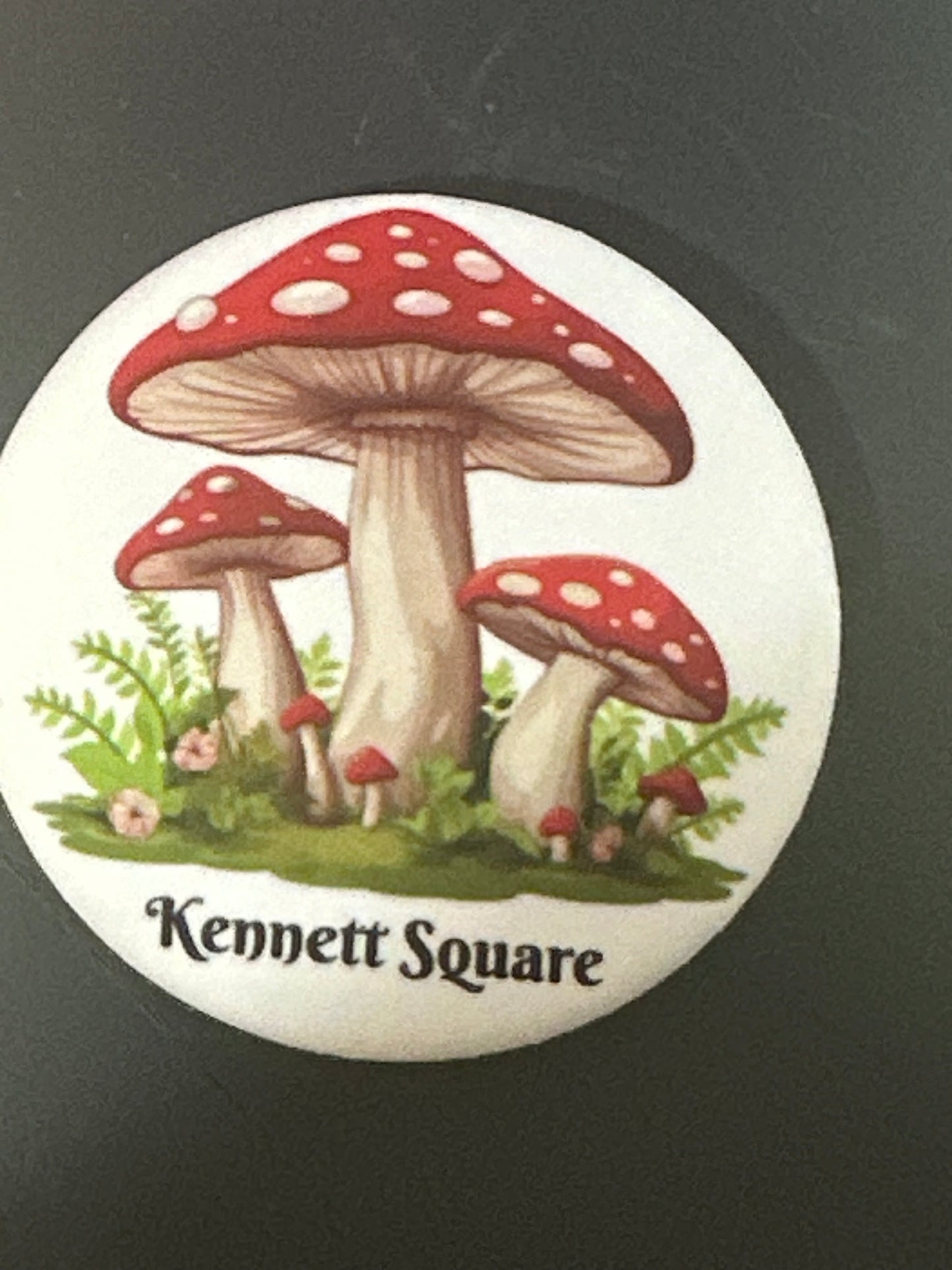 Mushroom Button KENNETT SQUARE