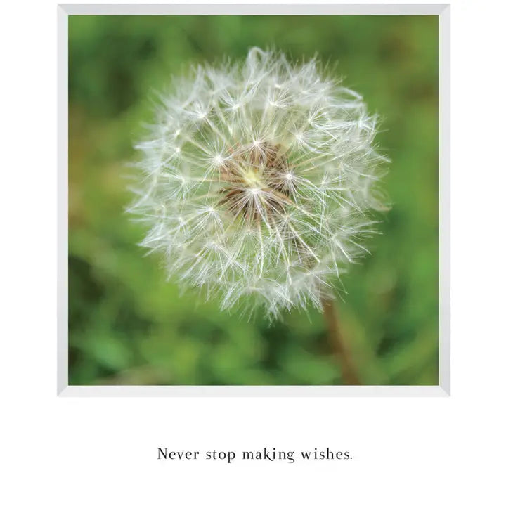 Dandelion - Birthday Card