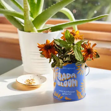 Grow Kits - Bada Bloom