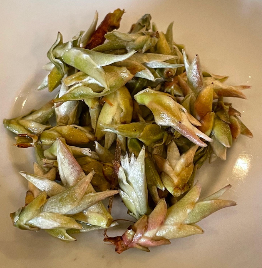 Ya Bao Superior - BAO SHAN BAI YA