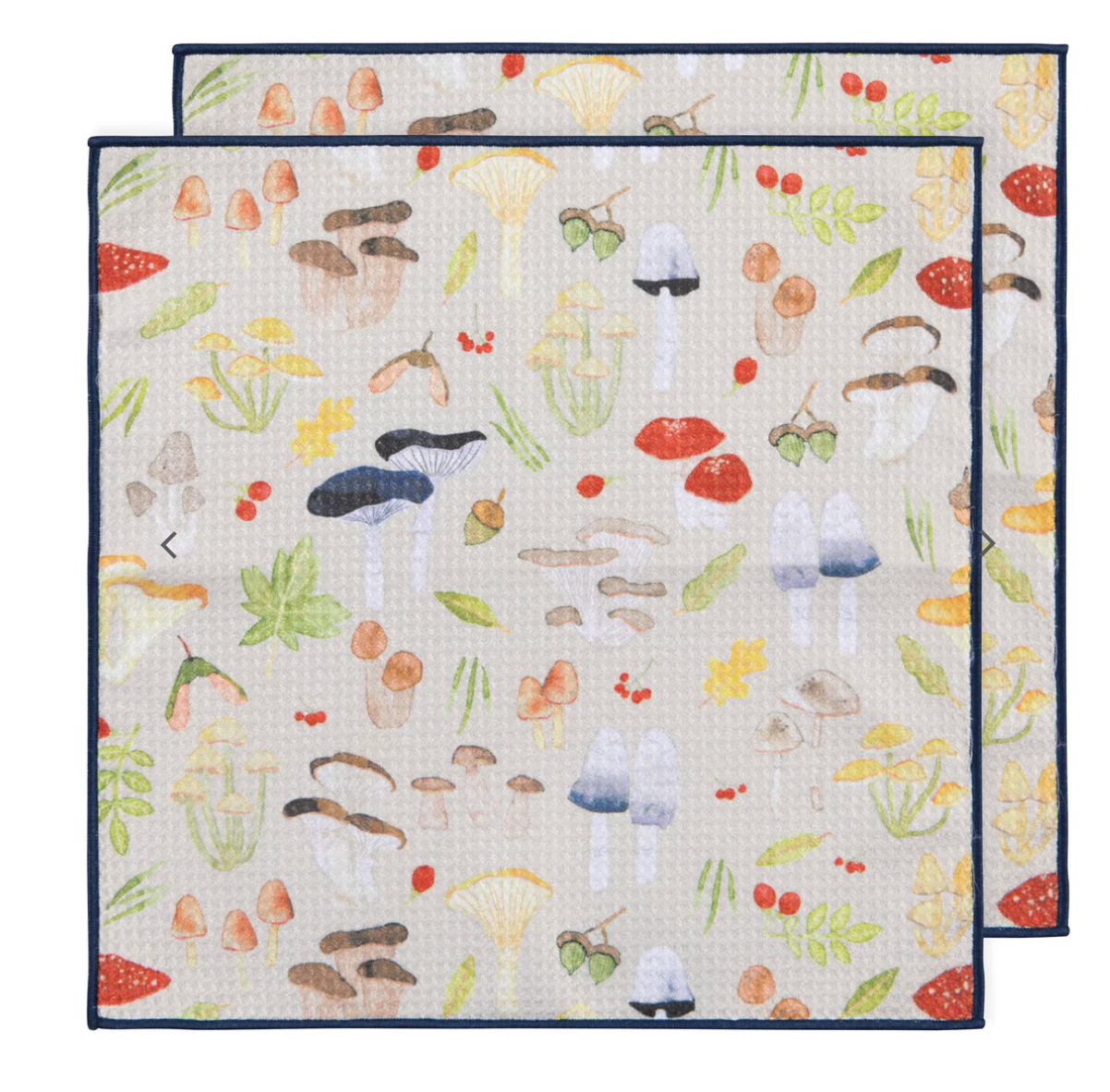 Field Mushrooms Renew Dish Clothes (Set of 2)