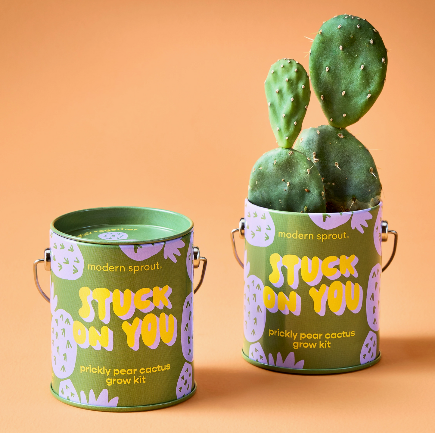 Grow Kits - Stuck on You