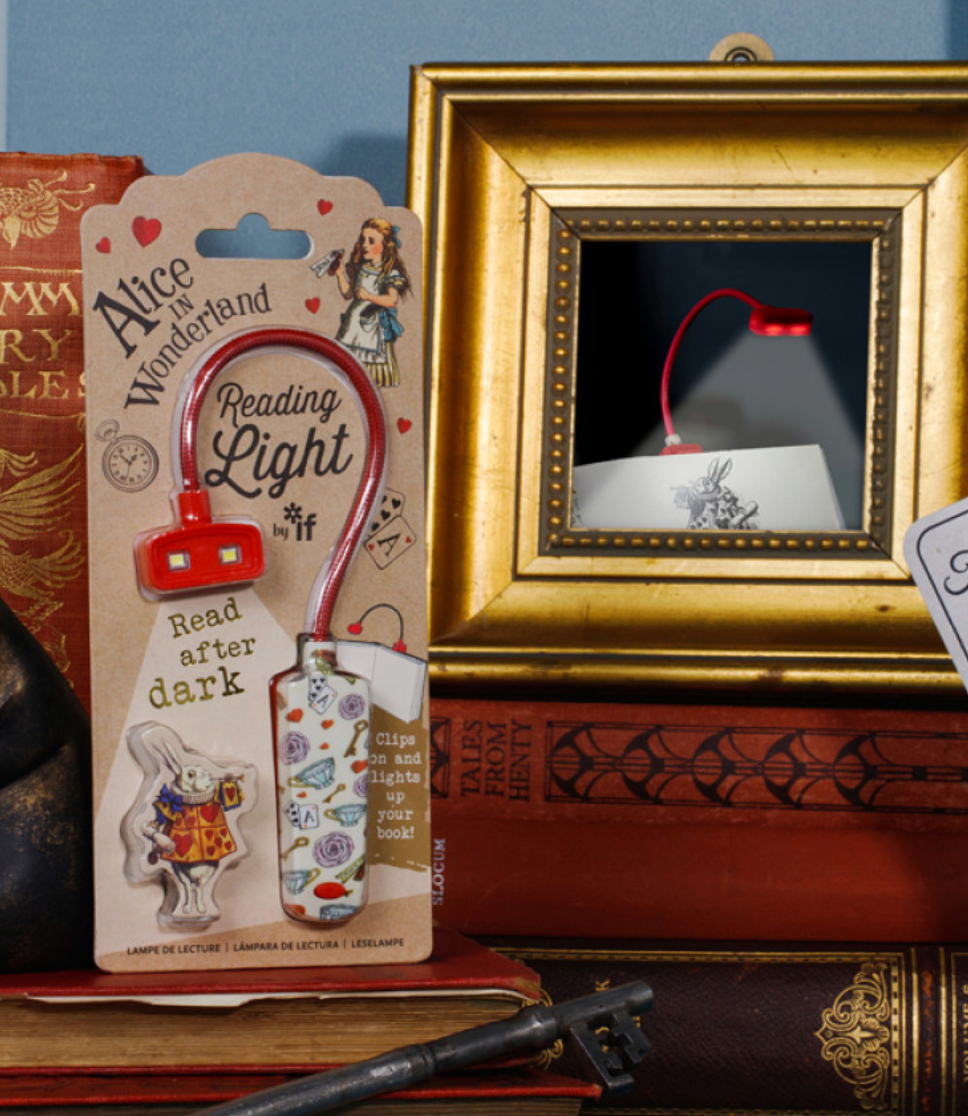BOOK LOVER'S READING LIGHT