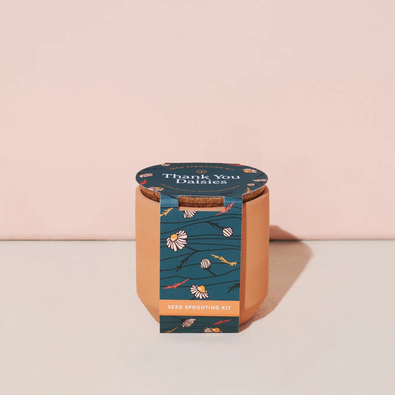 Seed Sprouting Kit - Terra Cotta Pot