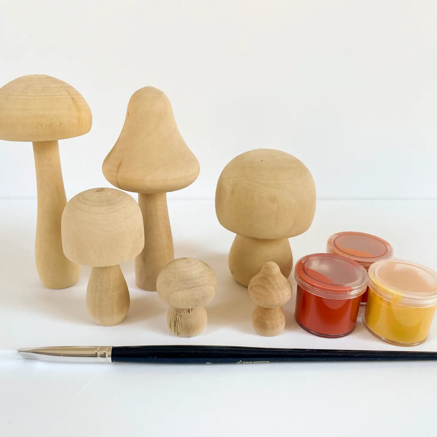 DIY Painted Mushroom Kit