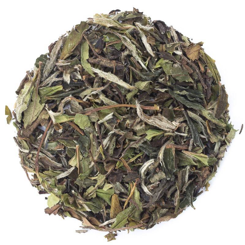 Pai Mu Tan -3652-0. -Pai Mu Tan (Weisse Päonie)