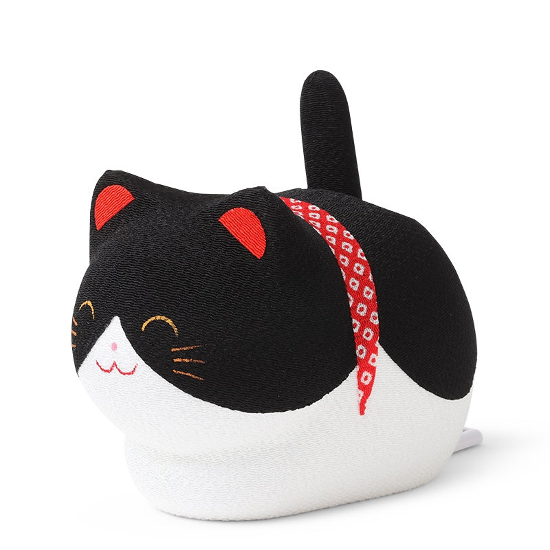 Solar Tail Black Cat