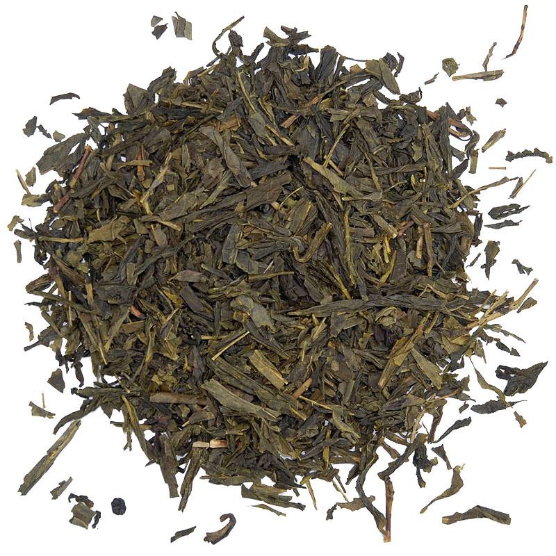 Sencha - 22503- Sencha