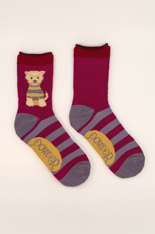 Socks Ankle
