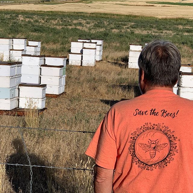 Honey-Brandywine Bee 12 oz.