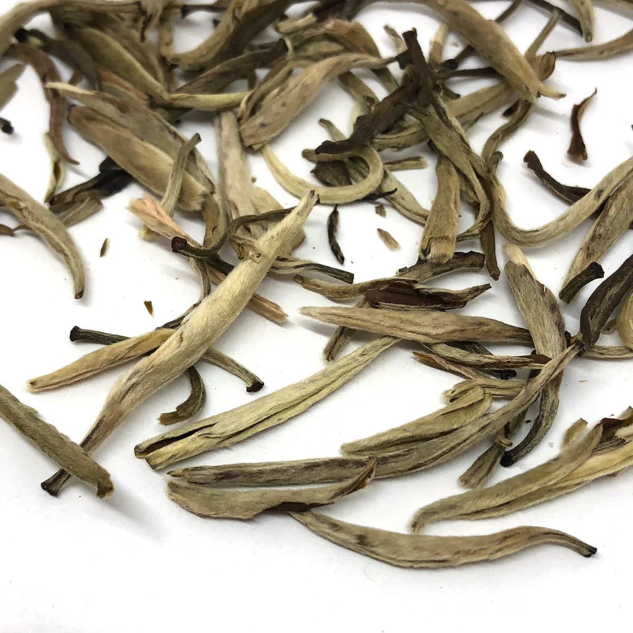 Jasmine Silver Needle - Mo Li Yin Zhen