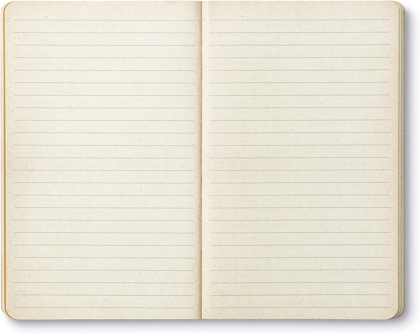 JOURNAL – There is no Enjoyment