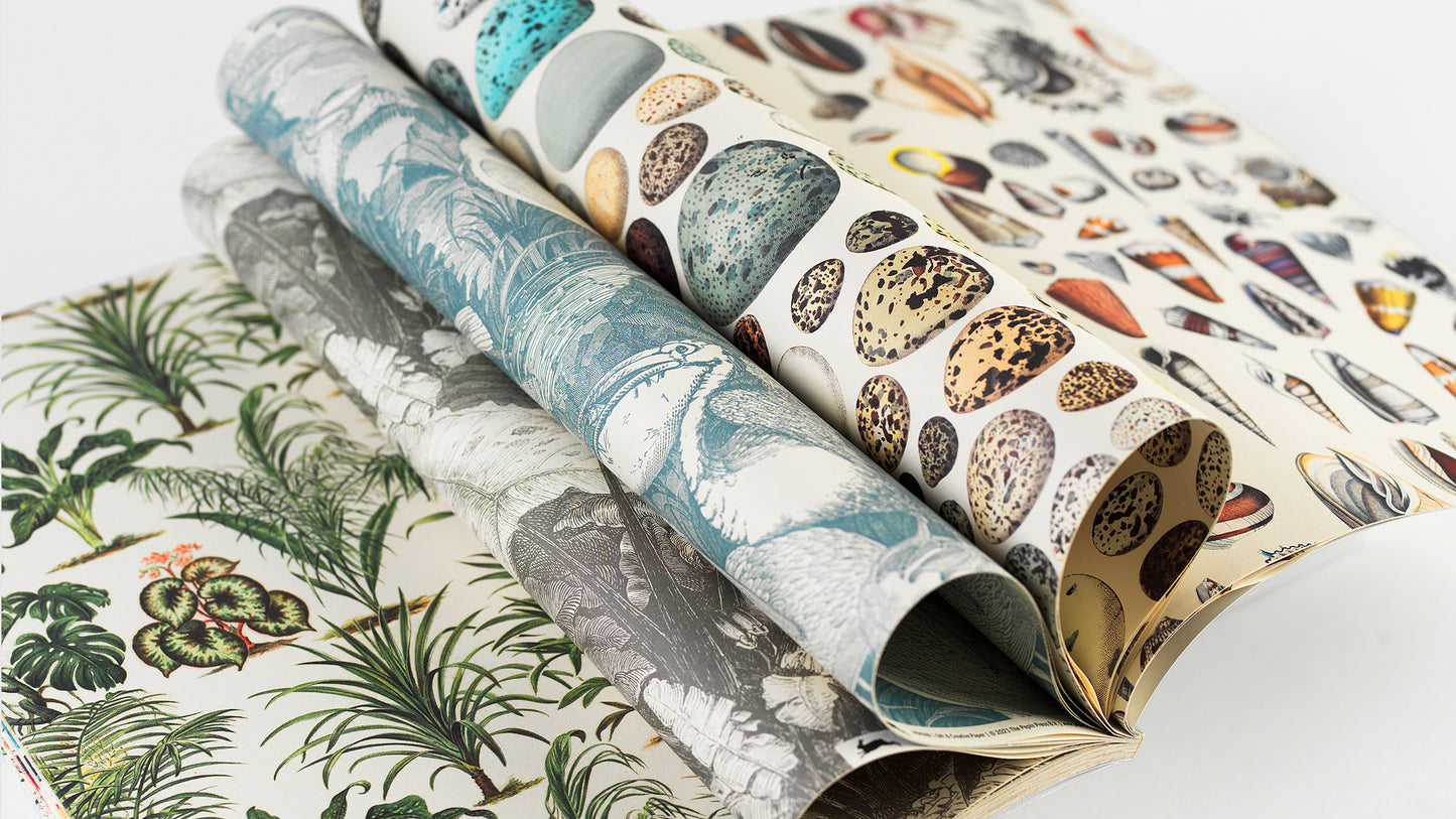 Wrapping Paper - Natural History