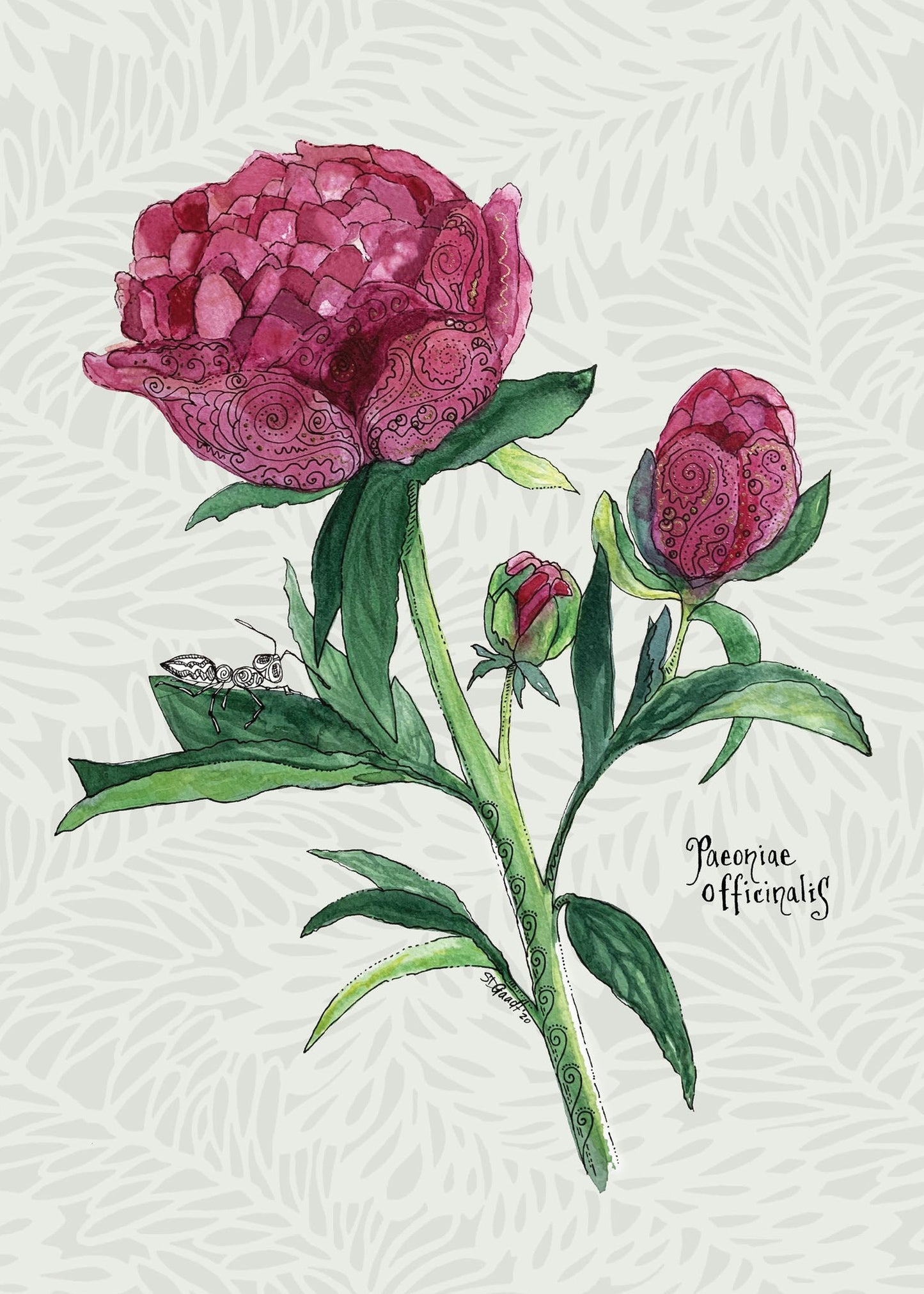 Card Peony