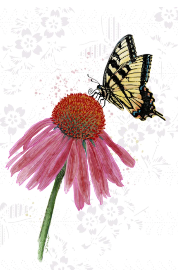 Card Tiger Swallowtail butterfly