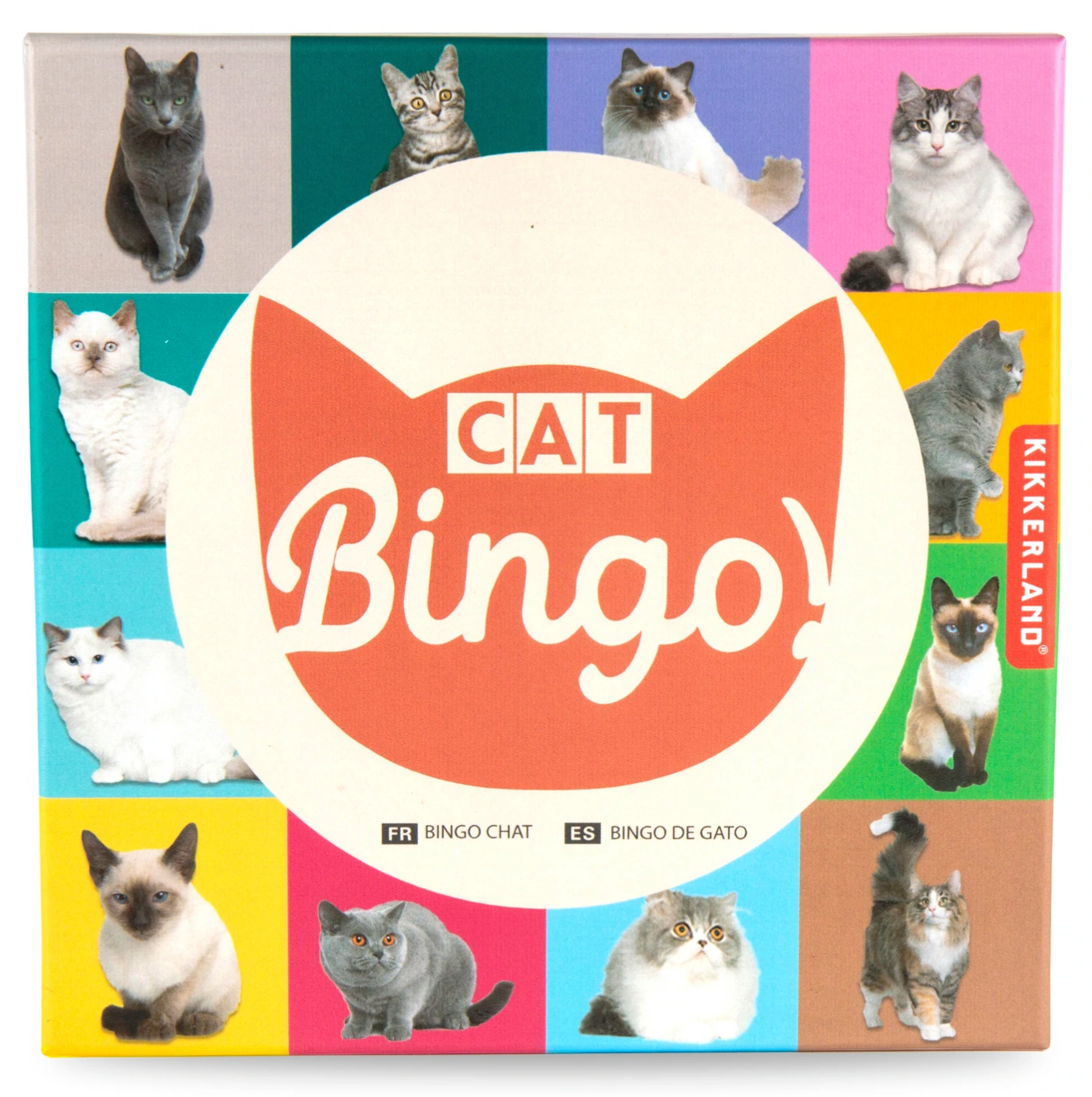 CAT BINGO