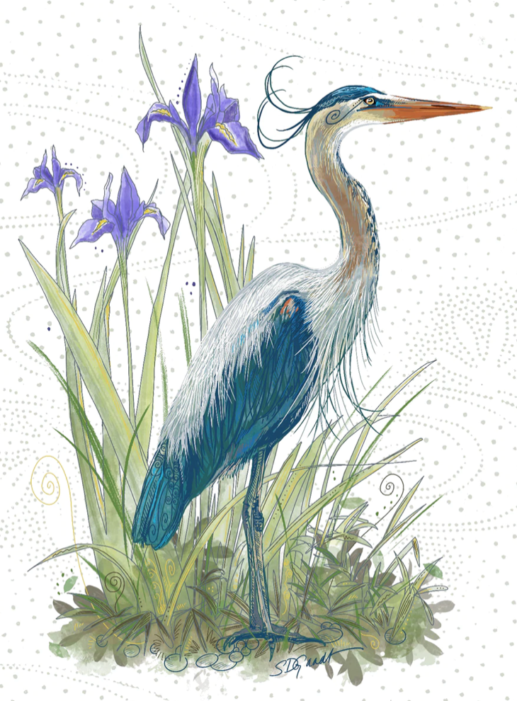 Card Blue Heron