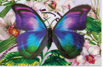 Card - Butterfly Magnet Card