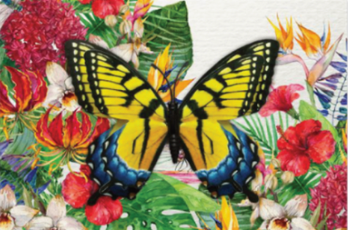 Card - Butterfly Magnet Card