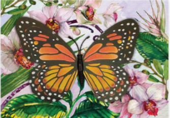 Card - Butterfly Magnet Card