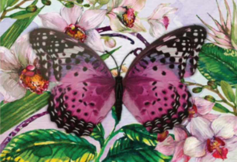 Card - Butterfly Magnet Card