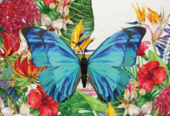 Card - Butterfly Magnet Card