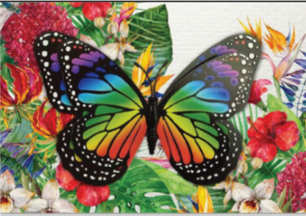 Card - Butterfly Magnet Card