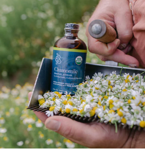 Botanical Simple Syrup, Certified Organic