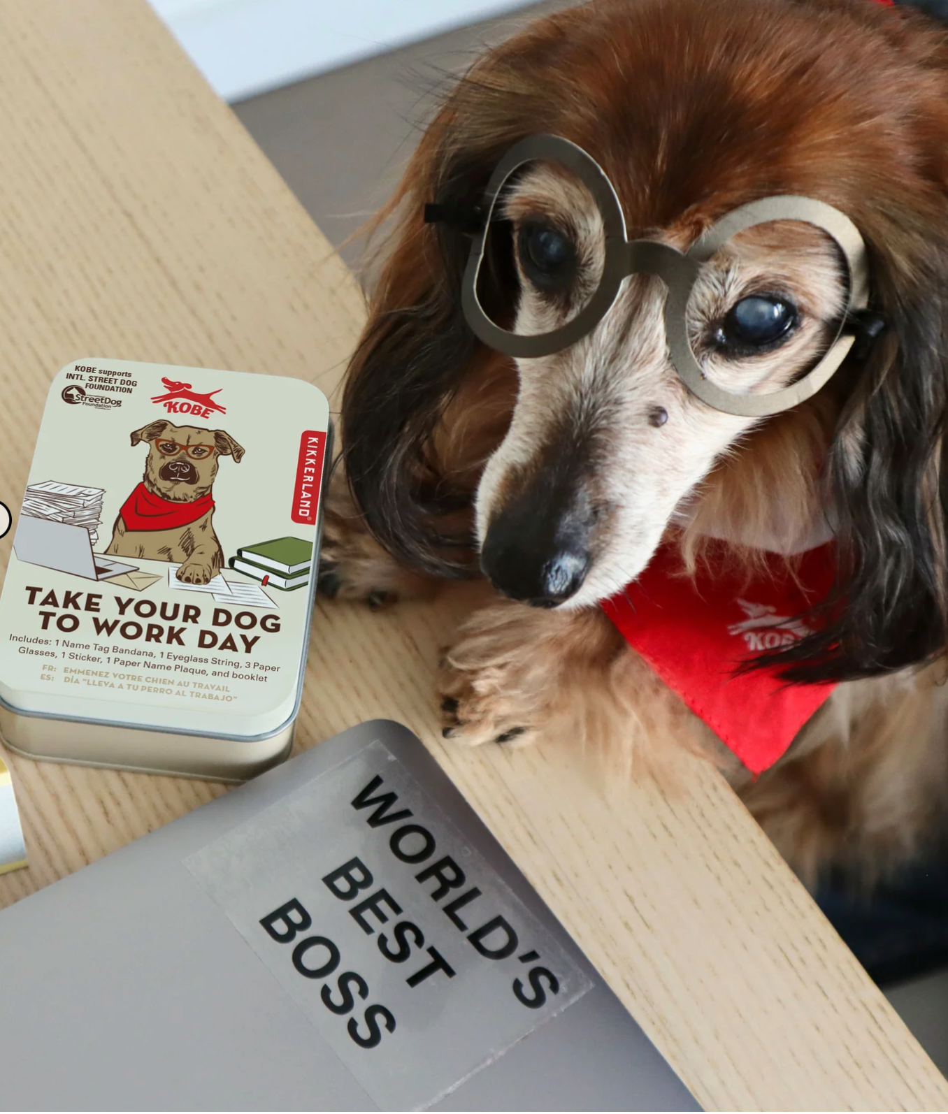 Kobe Take Your Dog to Work Day