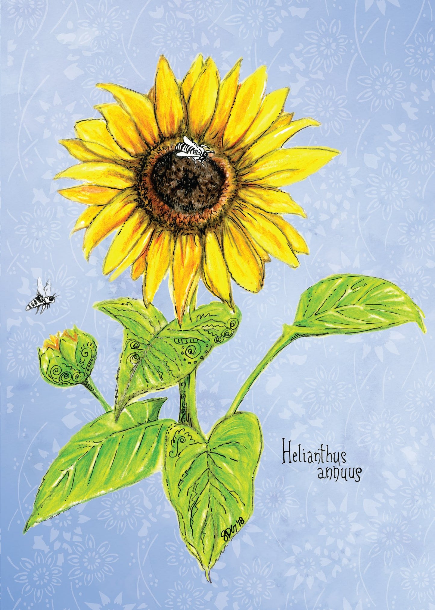 Card Sunflower