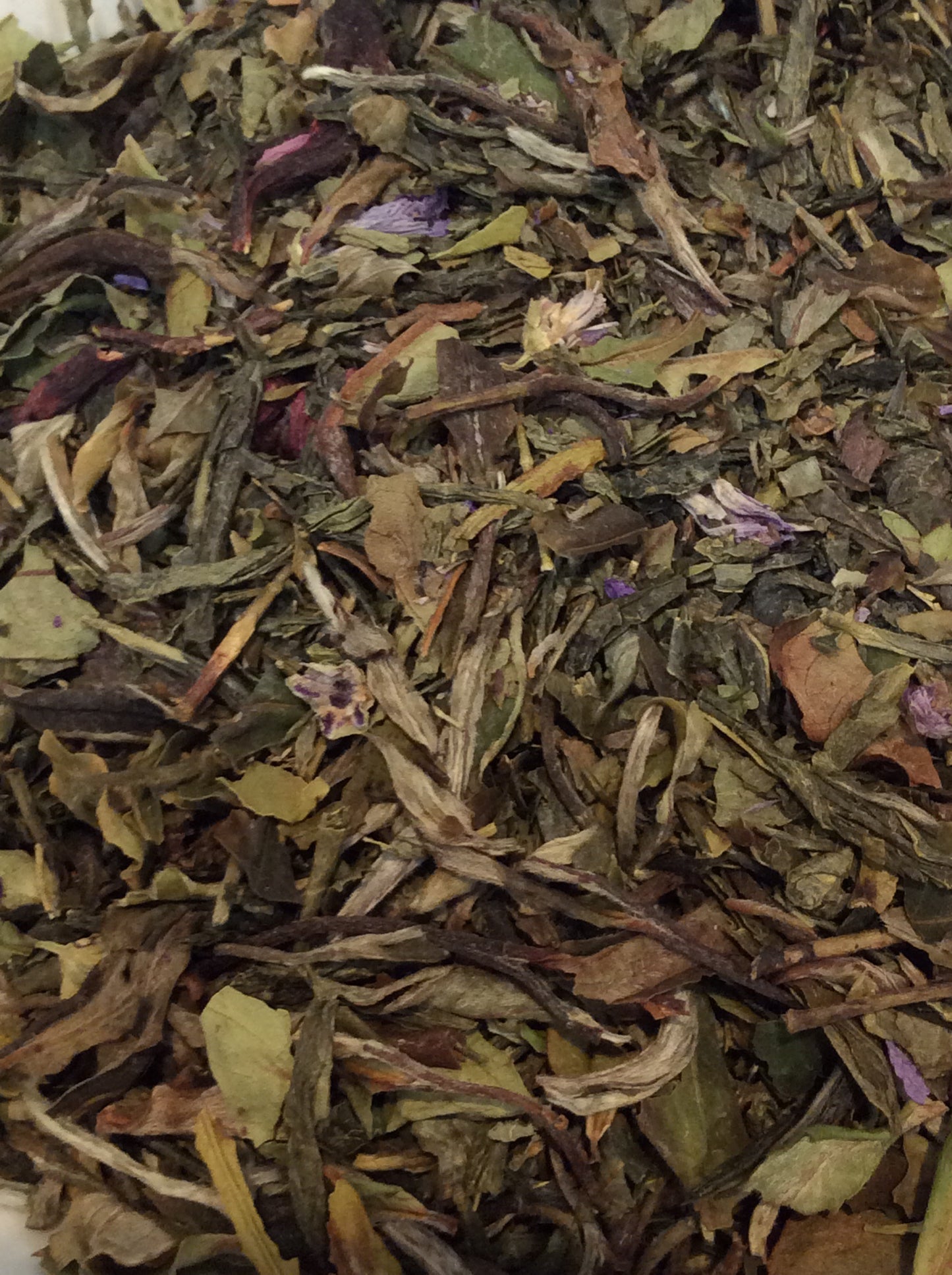 Pomiscus - 72248 -Green/White Tea
