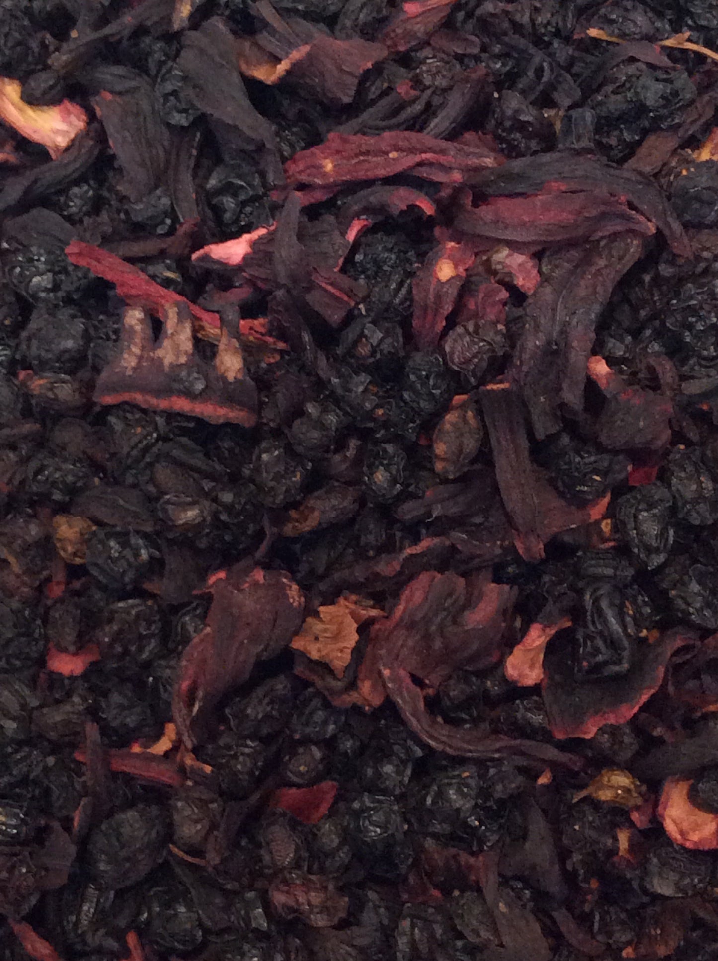 Black Currant Cherry - 39065 - Holsteiner Grutze