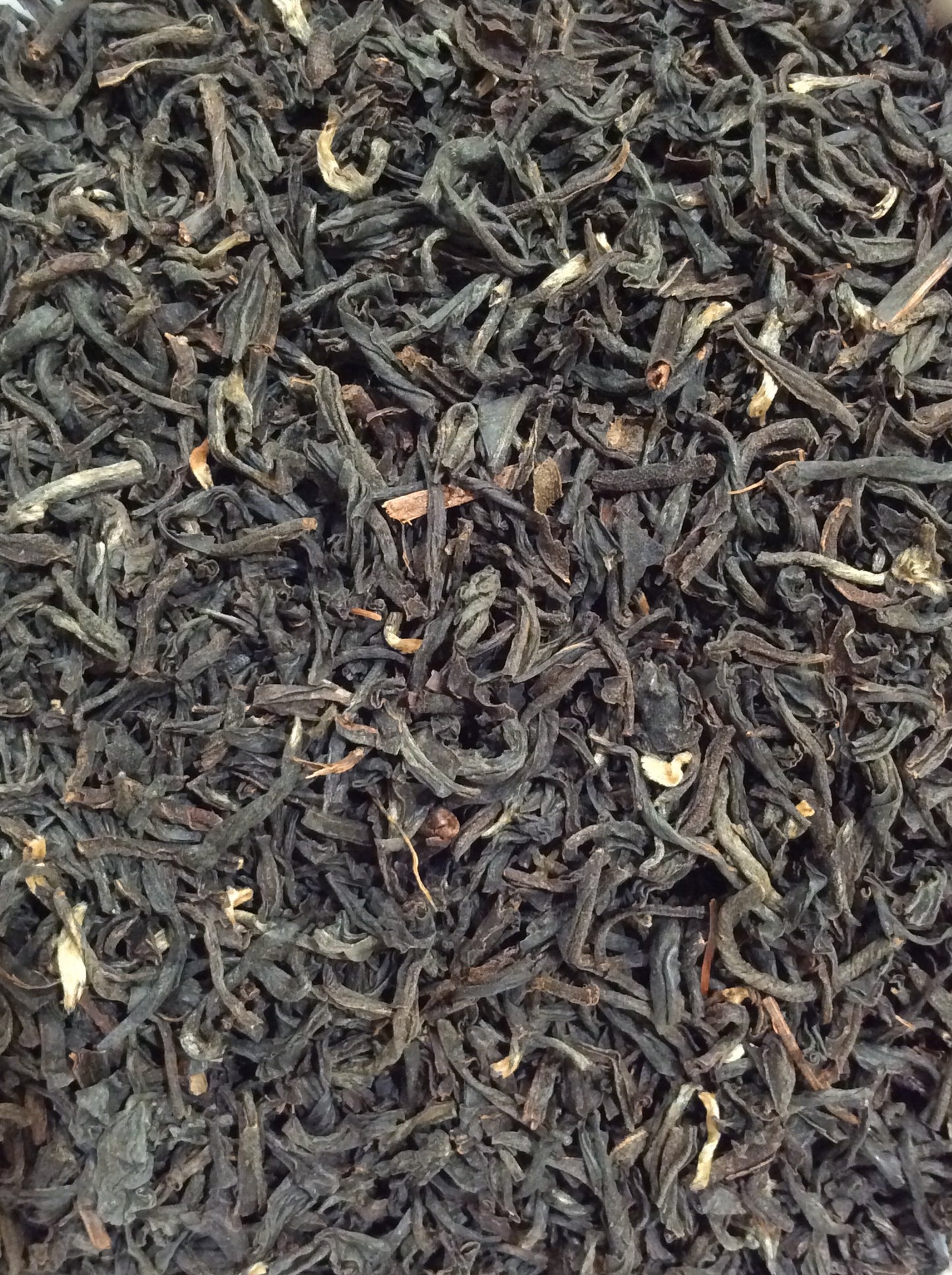 Everyday Assam -2705 - Assam Blatt-Tee