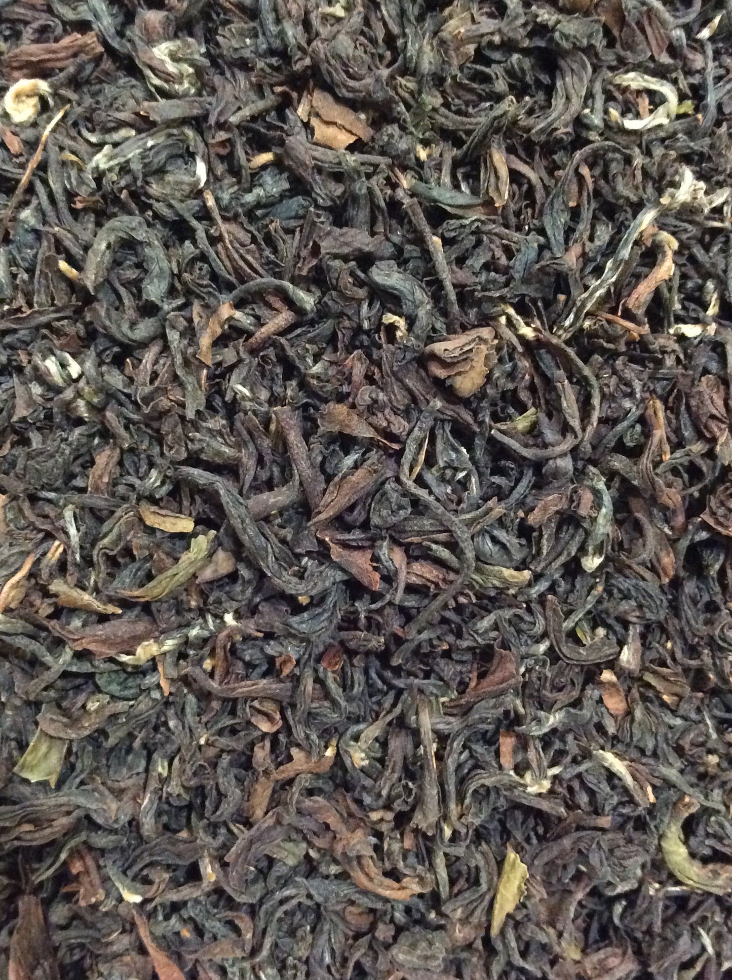 Darjeeling Summer Gold-1455-Darjeeling Summer Gold