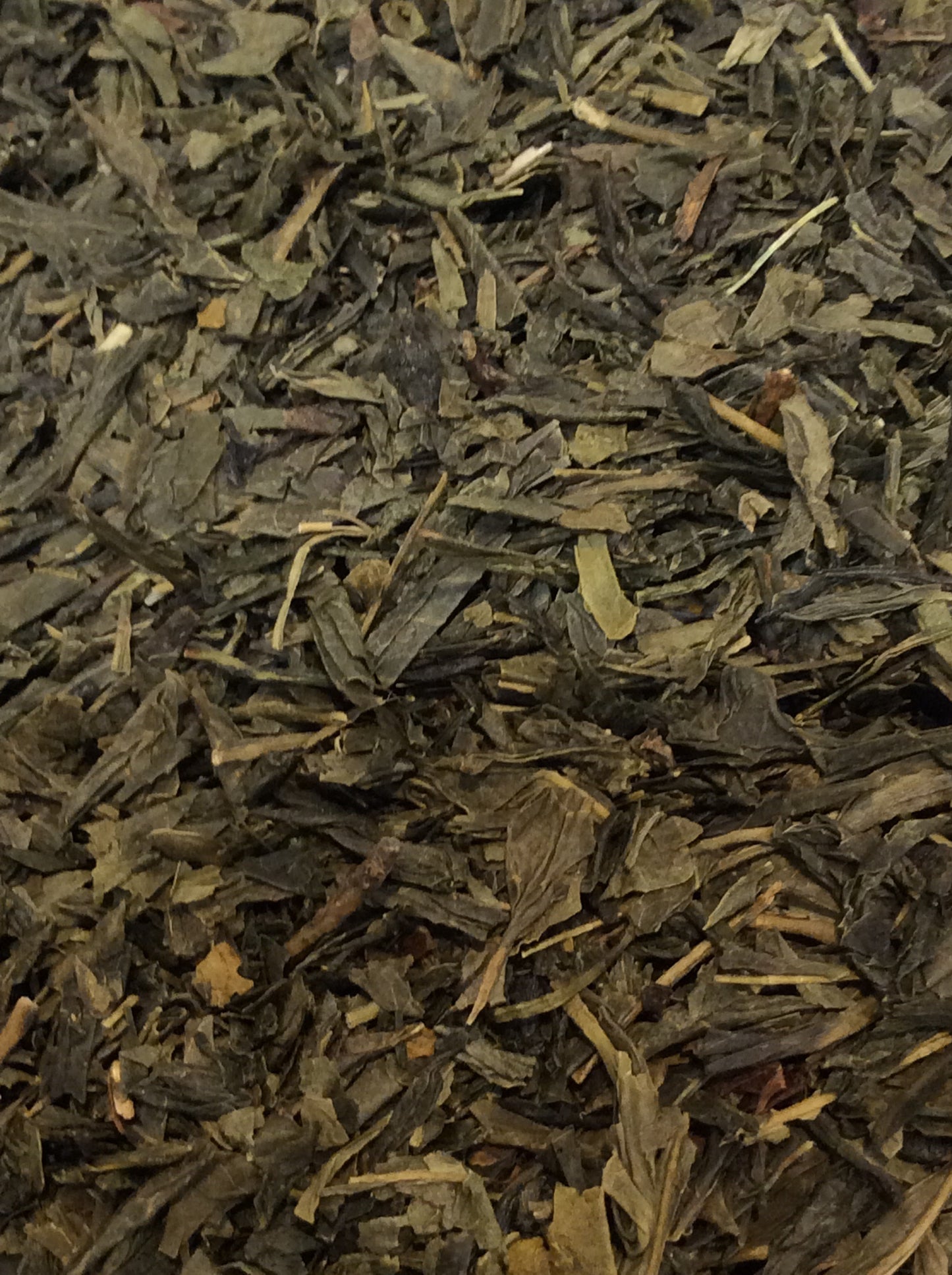 Sencha - 22503- Sencha
