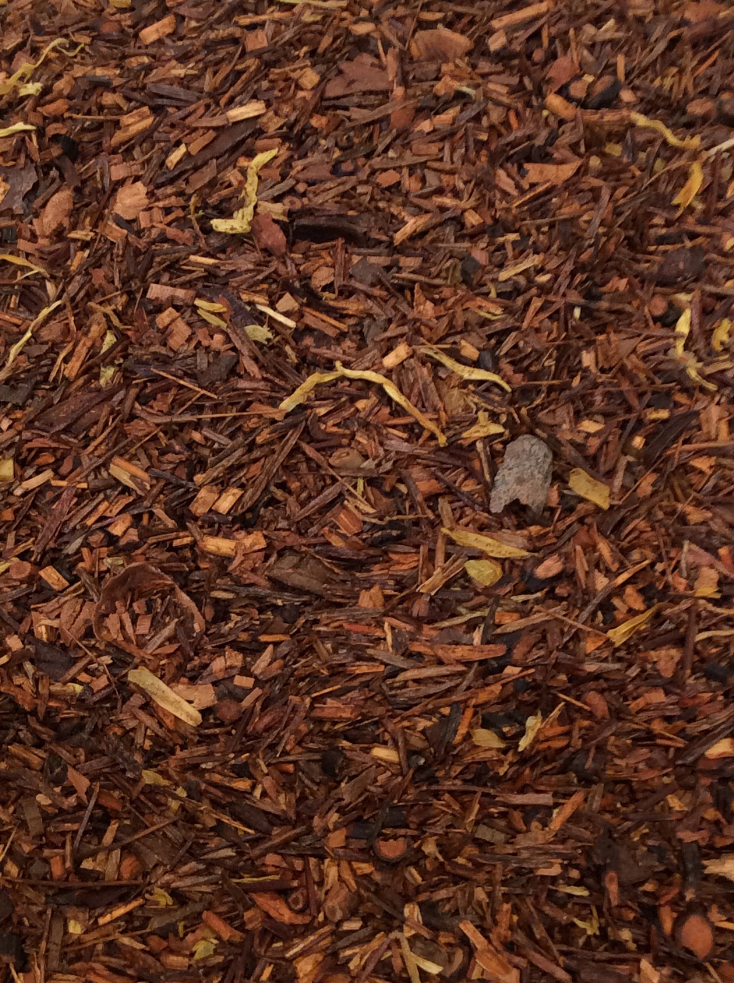 Chocolate Truffle - 3355 - Rooibos Chocolate Truffle