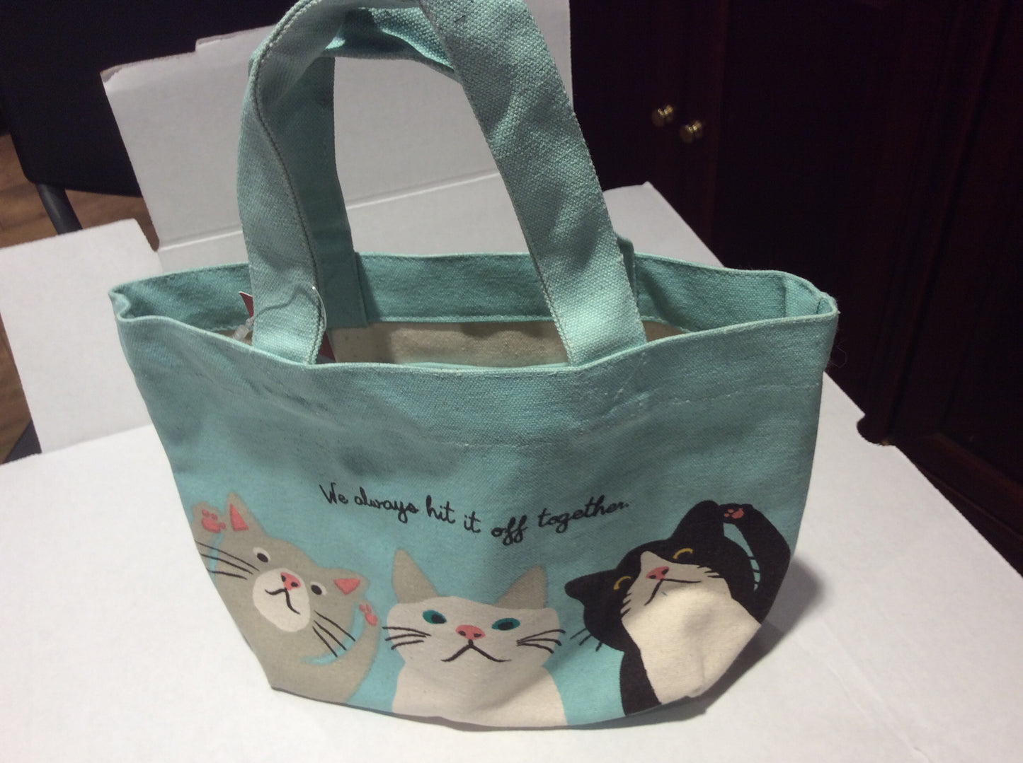 Tote - Cats We Always Hit It Off Together