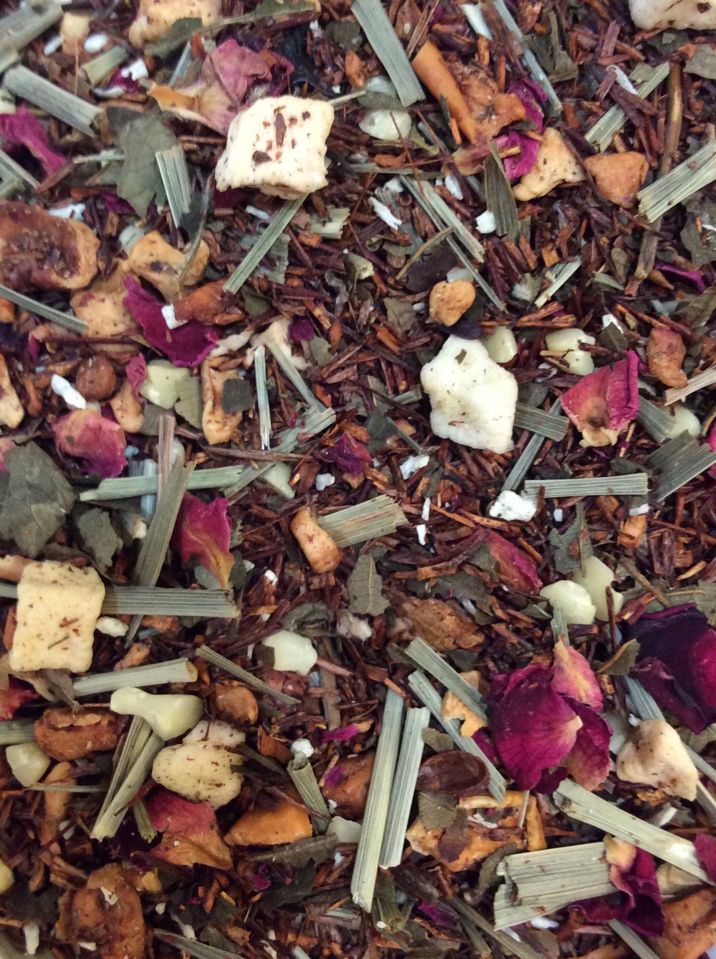 Staycation -33415 - Rooibos Amaretto Kaktusfeige