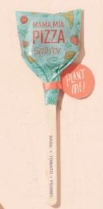 Seed Lollipop - Culinary