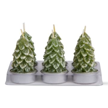 Tealight Candles - Spruce