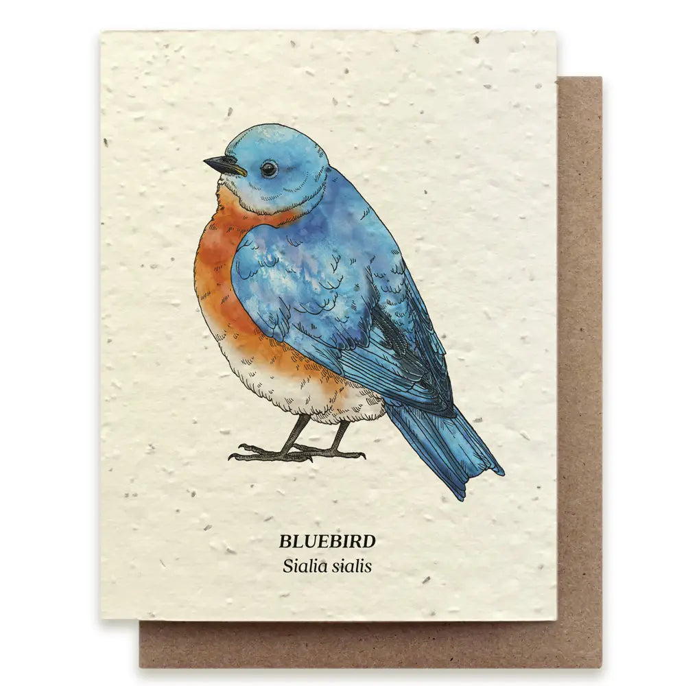 Plantable Seed Card - Bluebird Wildflower