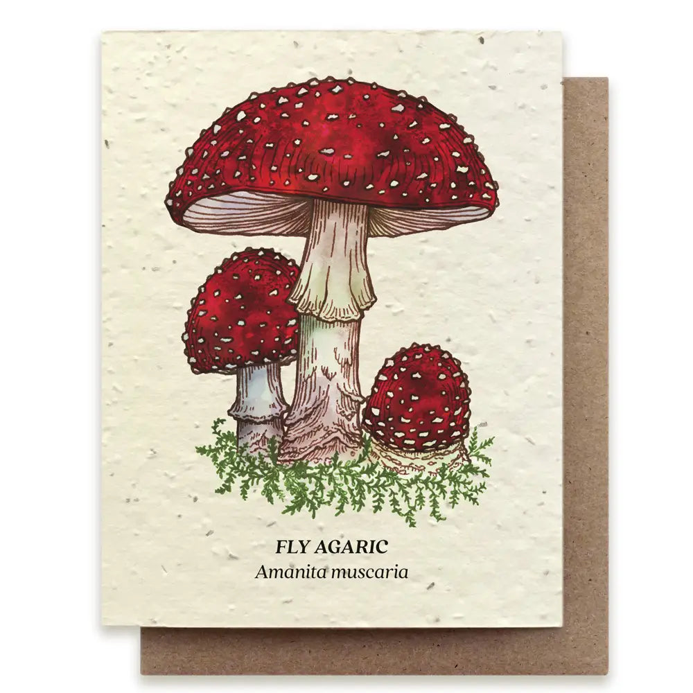 Plantable Seed Card - Fly Agaric Mushroom Wildflower