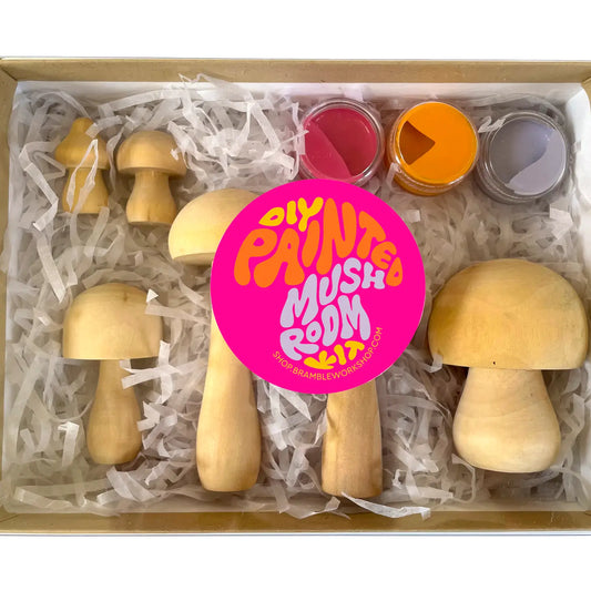 DIY Painted Mushroom Kit