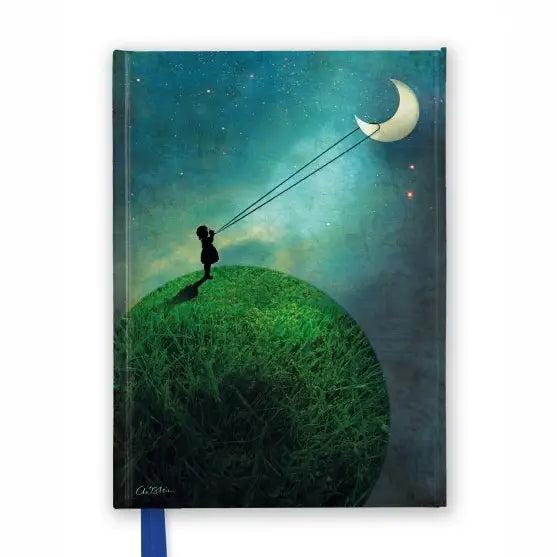 Journal - Magnetic Side Closure