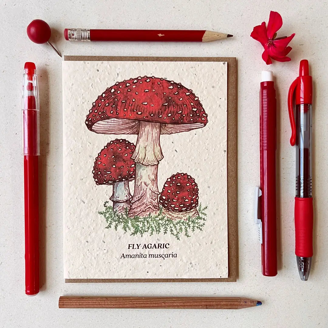 Plantable Seed Card - Fly Agaric Mushroom Wildflower