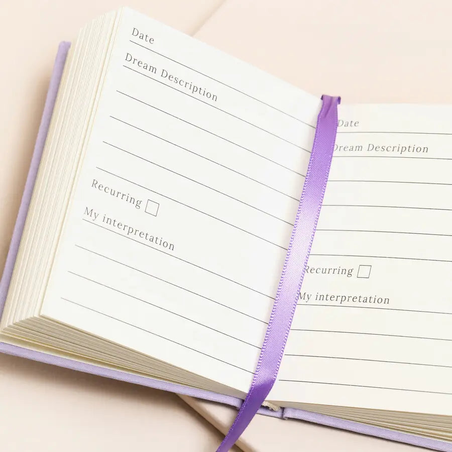 Teeny-Tiny Book of Dreams Notebook