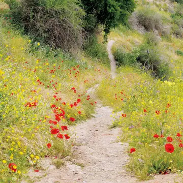 Your Path - Card