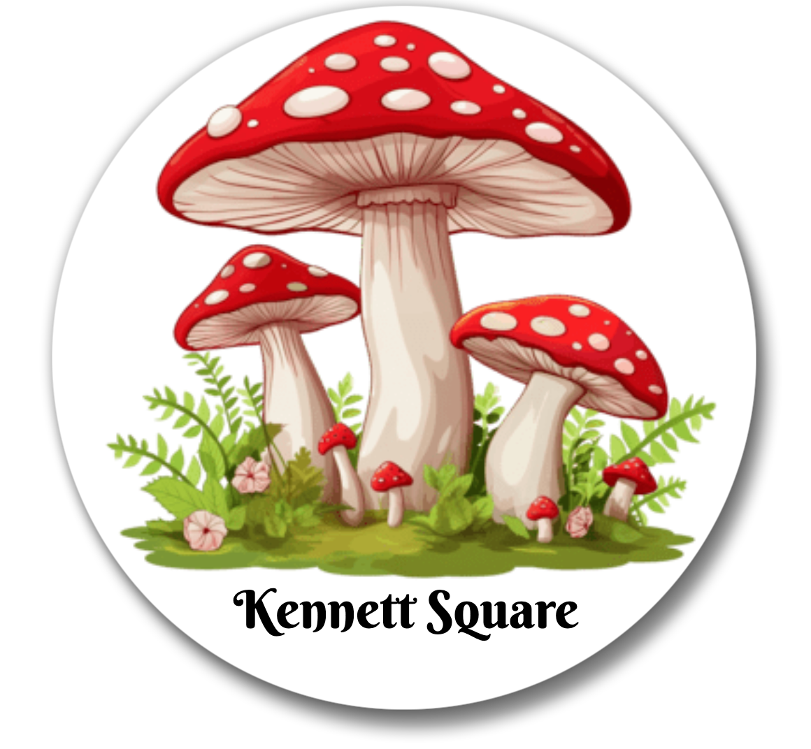 Mushroom Button KENNETT SQUARE