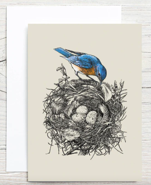 Blank Notecard Set (set of 8)
